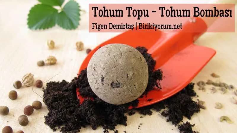 Tohum Topu ya da Tohum Bombası