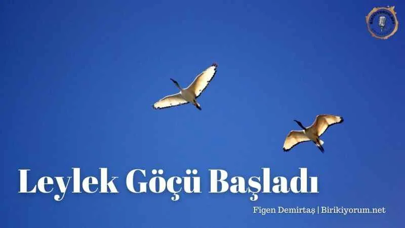 Leylek Göçü Başladı