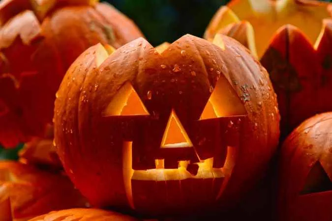 Cadılar Bayramı | Halloween