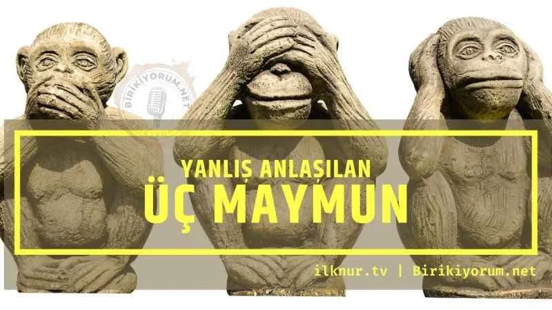 Üç Maymun: “Görmedim, Duymadım, Bilmiyorum” demedik.