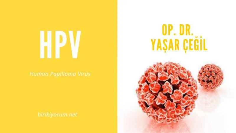 Hpv: Human Papilloma Virüs