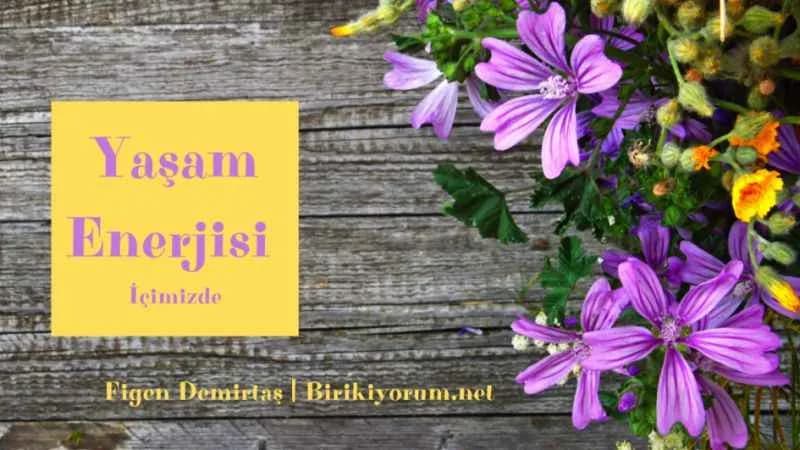 Yaşam Enerjisi İçimizde, Eğer Bakmayı Bilirsek