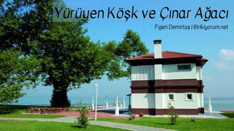 Yürüyen Köşk ve Çınar Ağacı