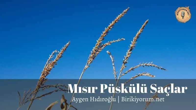 Mısır Püskülü Saçlar