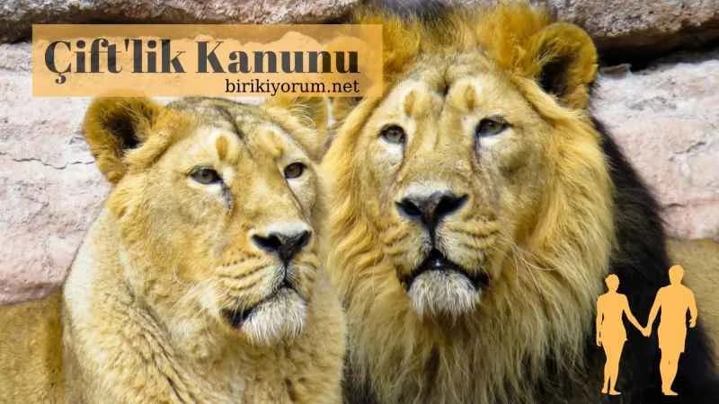 Çiftlik Kanunları – Çift’lik