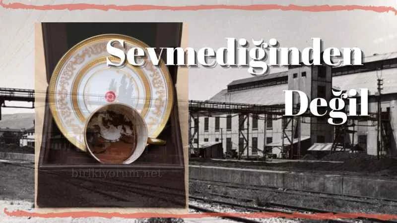 Sevmediğinden Değil