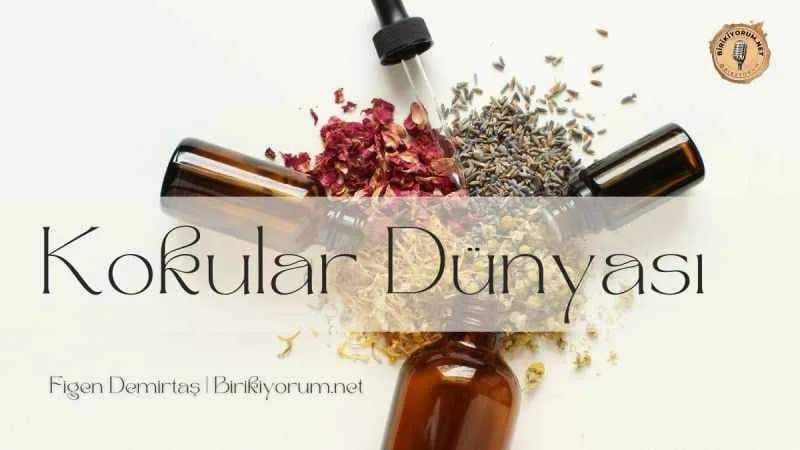 Kokular dünyası