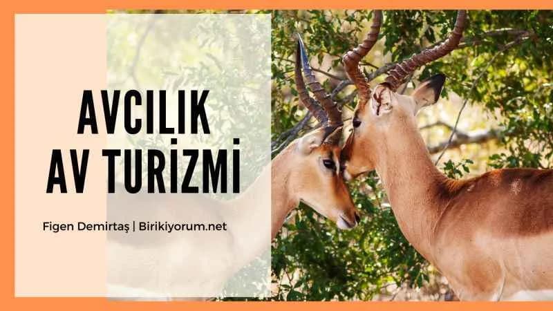 Avcılık Spor Değildir! Av Turizmi de Nedir?