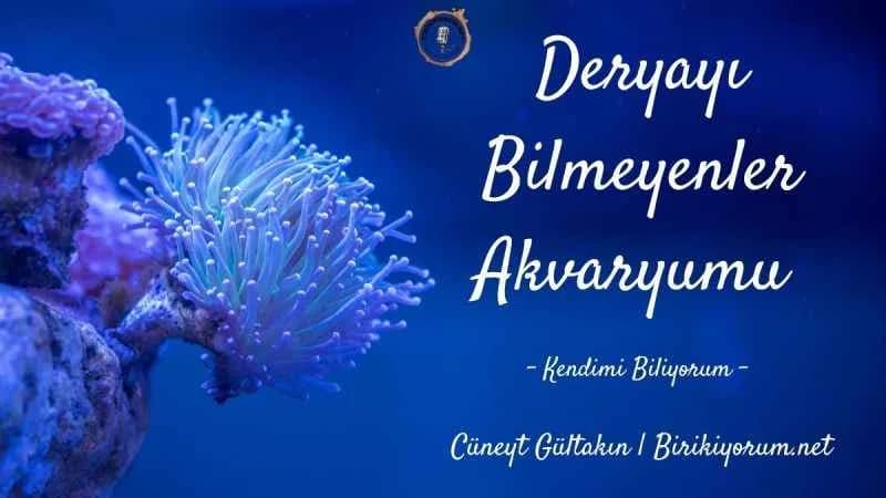 Deryayı Bilmeyenler Akvaryumu / Kendimi Biliyorum 1