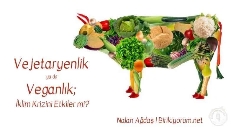 Vejetaryenlik ya da Veganlık: İklim Krizini Etkiler mi?