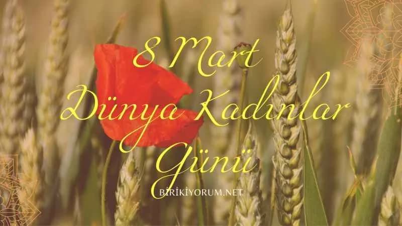 8 Mart Dünya Kadınlar Günü : Annem