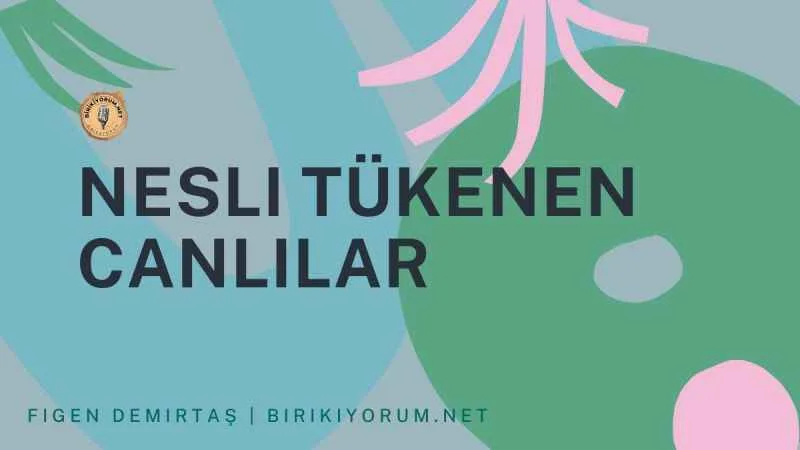 Nesli Tükenen Canlılar