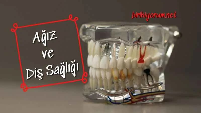 Ağız ve Diş Sağlığı Haftası