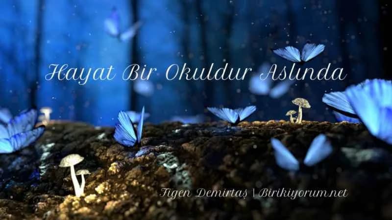 Hayat Bir Okuldur Aslında Biliyor musunuz?