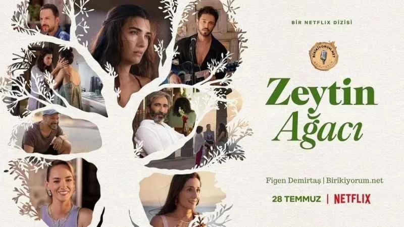Zeytin Ağacı