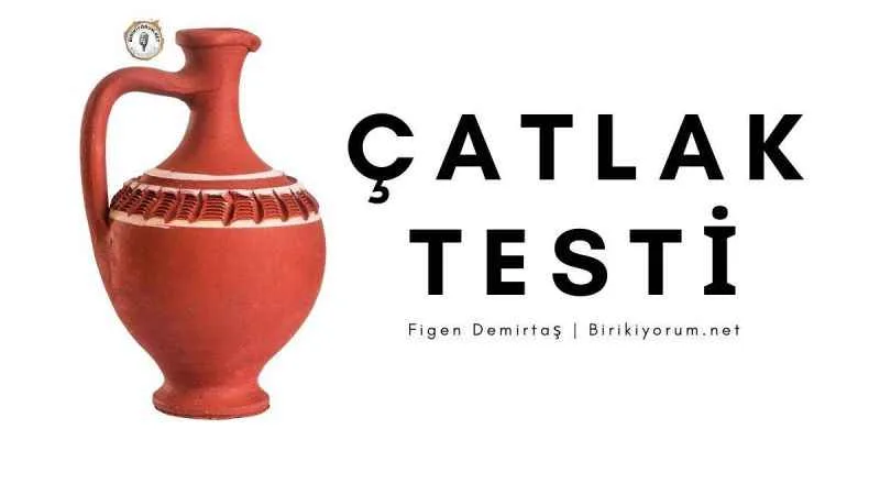 Çatlak Testi