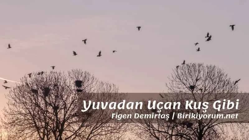 Yuvadan Uçan Kuş Gibi