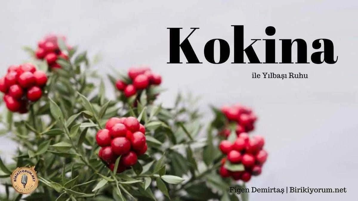 Kokina ile Yılbaşı Ruhu