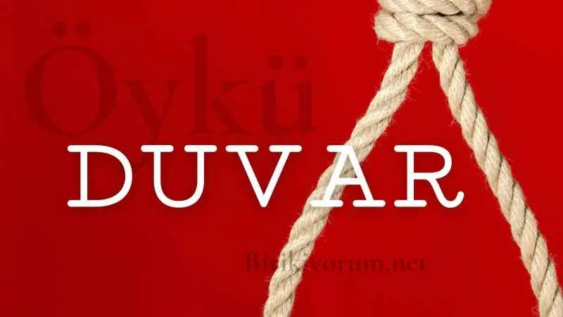 Duvar; Bir Sorgulayış Öyküsü
