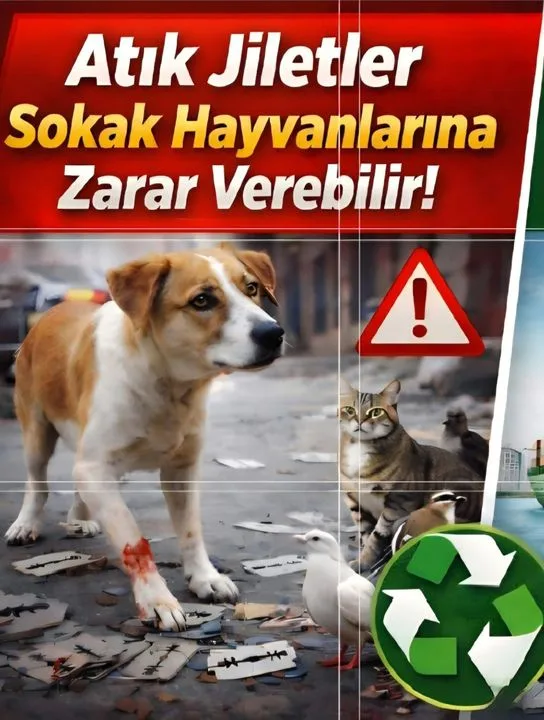 Atık Jilet ve 4 Nisan Sokak Hayvanları Günü: Bir Projenin Hikâyesi